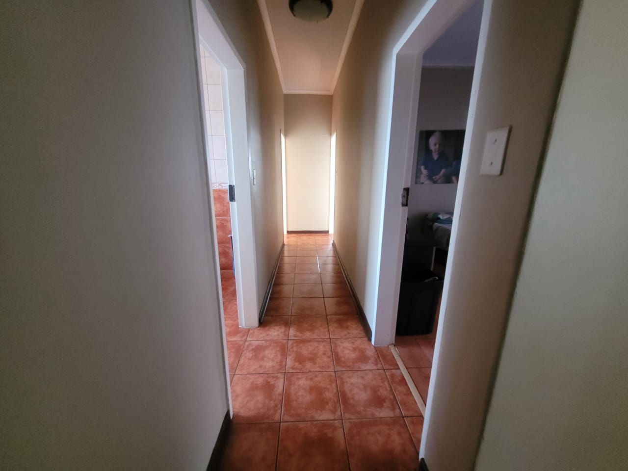 352528280.jpg
